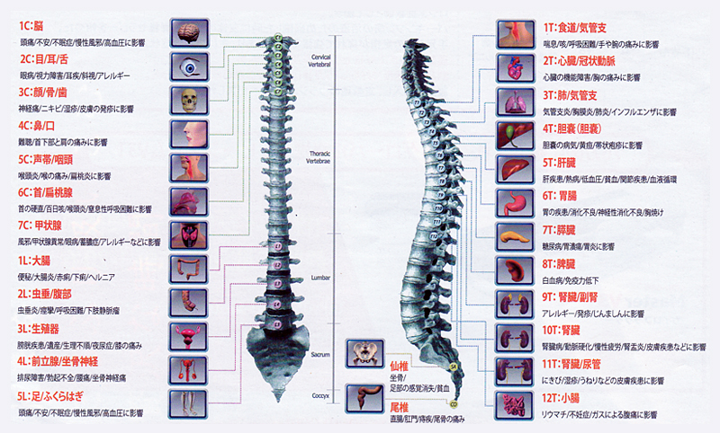 エバーグリーン heal by 水素健康館・セラゼムマスター