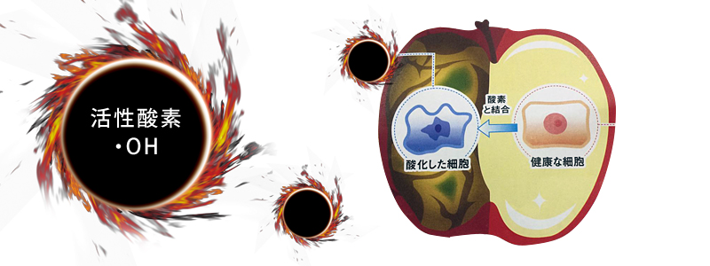 エバーグリーン heal by 水素健康館・驚異の抗酸化作用