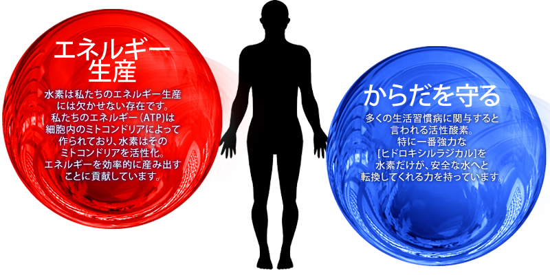 エバーグリーン heal by 水素健康館・オーガニック水素サプリメント